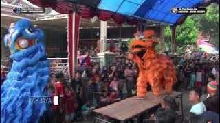 AKSI BARONGSAI Burok MJM Live CIHIRUP 14-MEI-2022