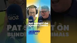 Pat Shortt on Blindboys ANIMALS