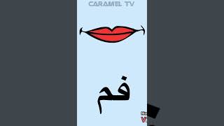 كلمات عربية — أعضاء جسم الانسان @carameltv7945 #arabic_vocabulary #كلمات #كلمات_