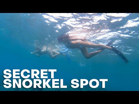 Our Favorite Snorkeling on Maui is in Kihei - The Detourist Guide To Travel - Maui Ep. 17