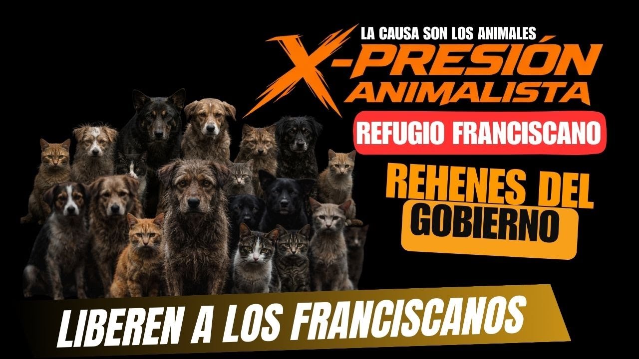 REFUGIO FRANCISCANO. Rehenes del Gobierno de la Ciudad de México.