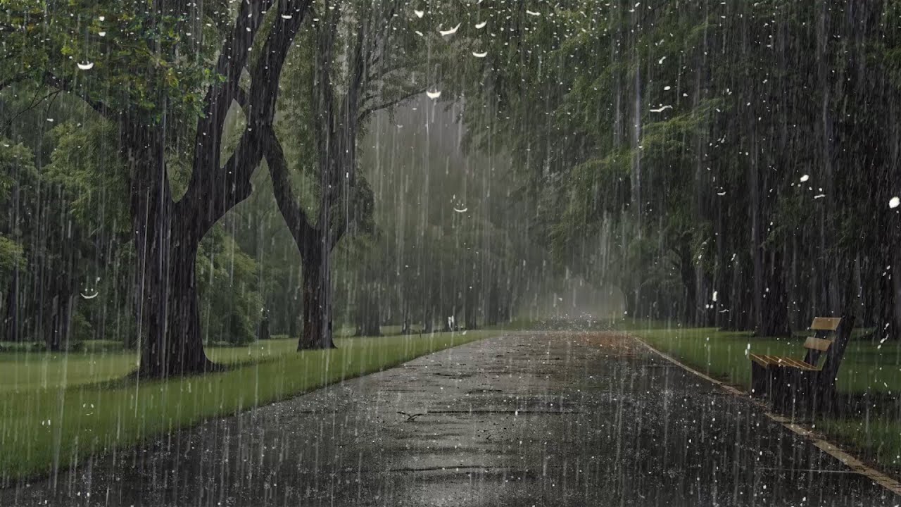 Sonido de Lluvia para Dormir Profundamente y Relajarse en 5 Minutos ...