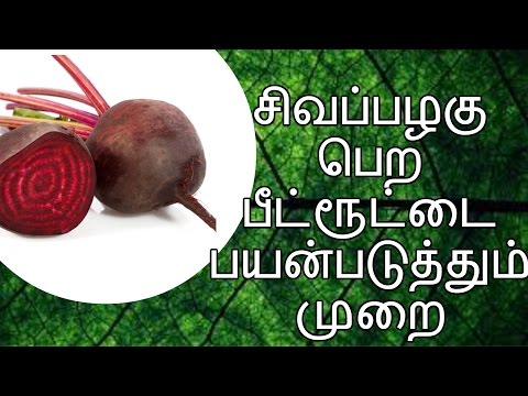 ✅சிவப்பழகு பெற பீட்ரூட்டை அப்படி பயன்படுத்துவது - Tamil Beauty Tips / Tamil Azhagu Kurippu