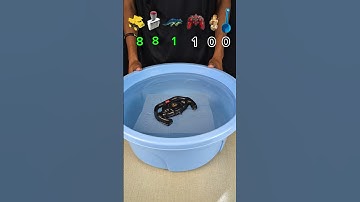 How Many Tissue Papers Does It Take 😱 What Happens Next! #satisfying #experiment #trending