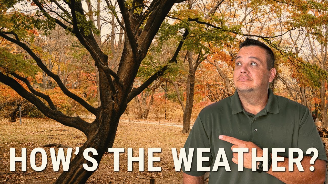 Baton Rouge Weather - What to Expect in South Louisiana