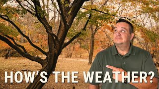 Baton Rouge Weather - What to Expect in South Louisiana