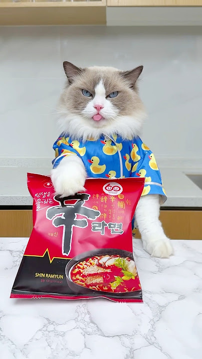 How to remake your ramen? #thatlittlepuff #shinramen