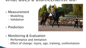 Introduction to Equine Biomechanics