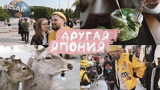 ЯПОНИЯ, СГЕНЕРИРОВАННАЯ НЕЙРОСЕТЬЮ // БЕЗУМНАЯ ОСАКА И СПОКОЙНАЯ НАРА