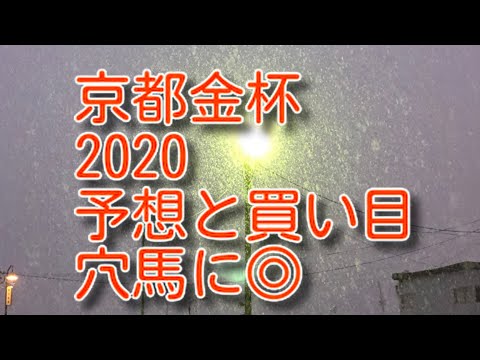 【京都金杯2020予想】穴馬と心中