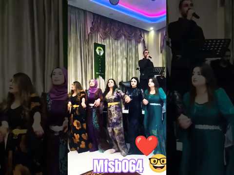 Arabic Traditional Dance Dabke Dance Performance Dabke El Ouyoun Shorts Dabkat Ytshorts 