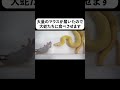 大量のマウスが届いたので大蛇たちに食べさせます#shorts