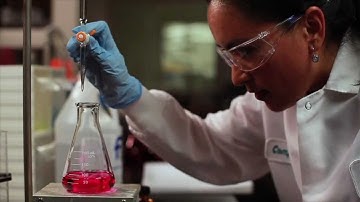 Synergy Quality Assurance