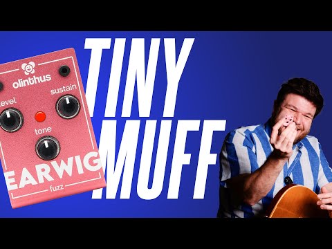 The World's SMALLEST Fuzz Pedal!