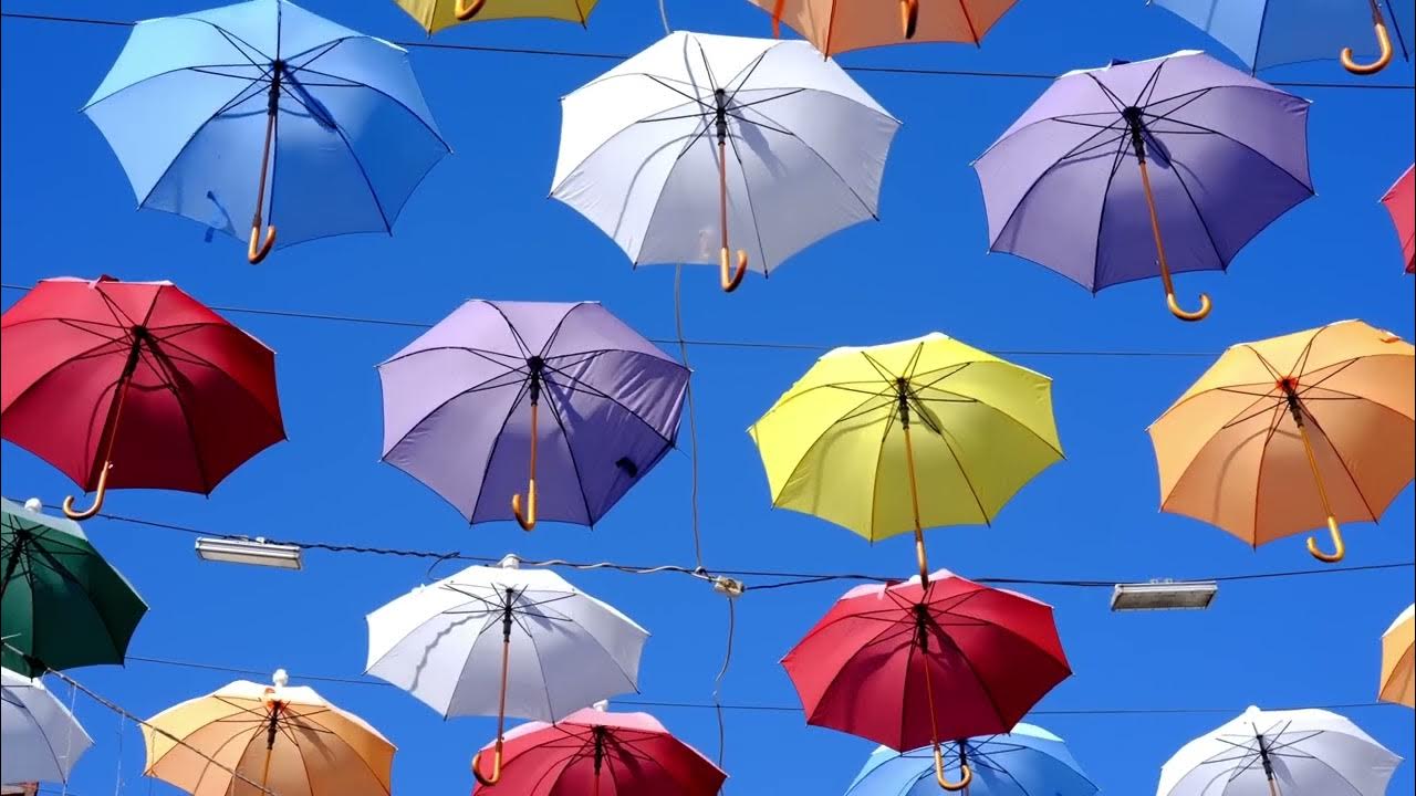 зонтики видео. зонтики видео. зонтик. разноцветные зонтики. зонтики видео.