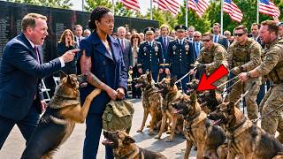 The SCARRED NURSE WAS ASKED TO LEAVE the Memorial—Then 7 K9 DOGS LINED UP FOR HER