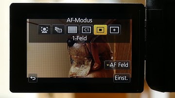 Lumix FZ2000 / FZ2500 / FZH1 / 4K Macro Footage Settings with an Achromat / Quick Tip EN / DE