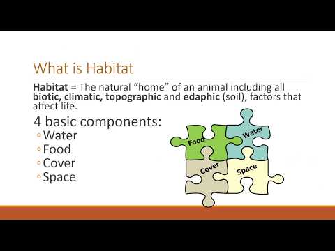 Habitat Requirements
