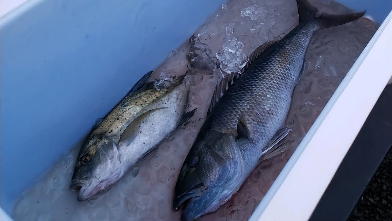 BiG IsLaNd sHoRe JiGGing / Uku & Omilu