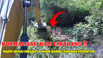 NGERI MULAI DI BABAT POHON BAMBU SARANG PREDATOR ‼️ NORMALISASI KALI CIKARANG