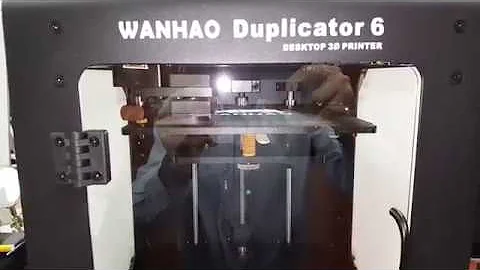 Wanhao D6 with MK4duo