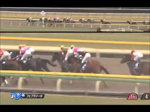 フェブラリーステークスＧＩ コパノリッキー