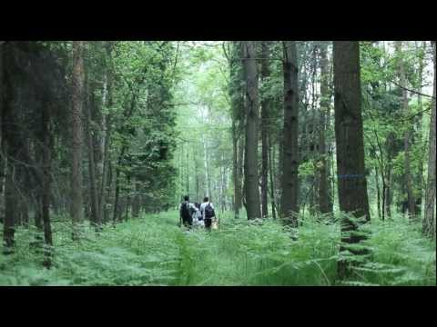 Ranker Video