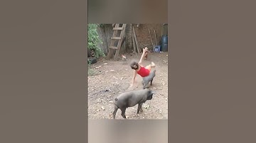 funny fails video part-44| funny video in Bengali| #shorts #shortvideo #funny #funnyvideo