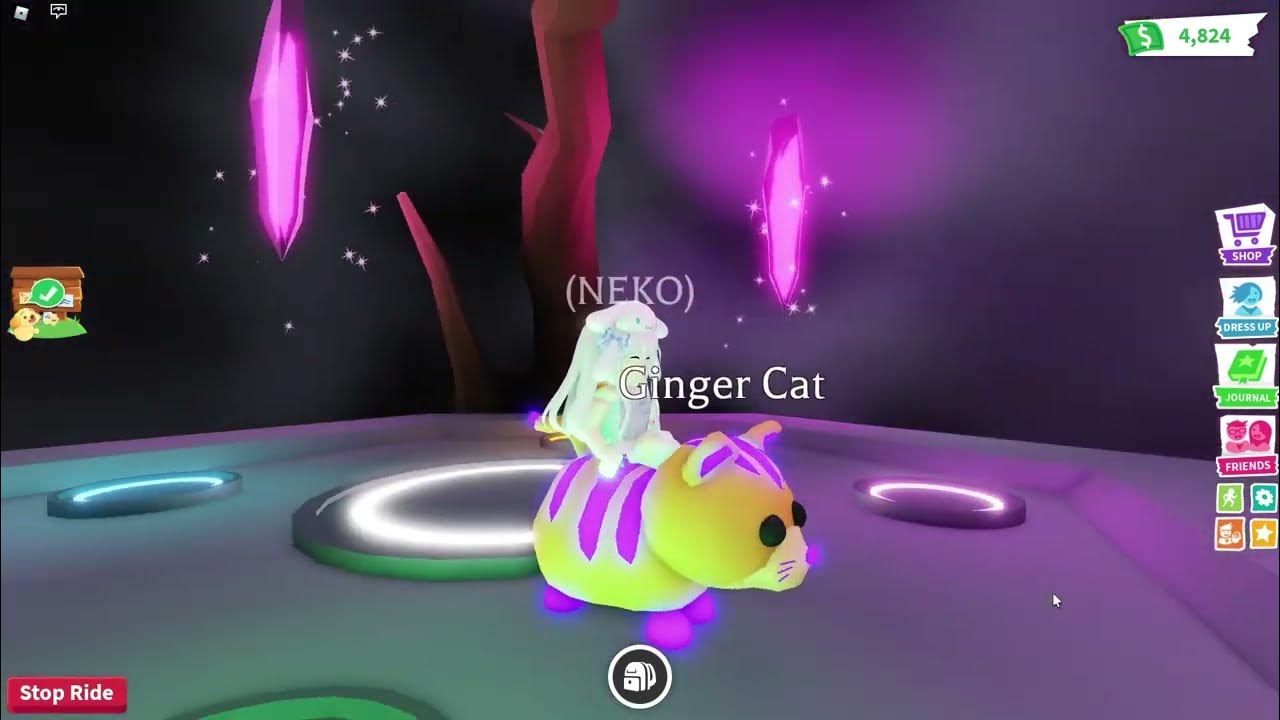 MEGA NEON GINGER CAT & OPENING 3 RGB BOX IN ADOPT ME ROBLOX YouTube