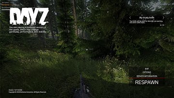 DayZ Random Death