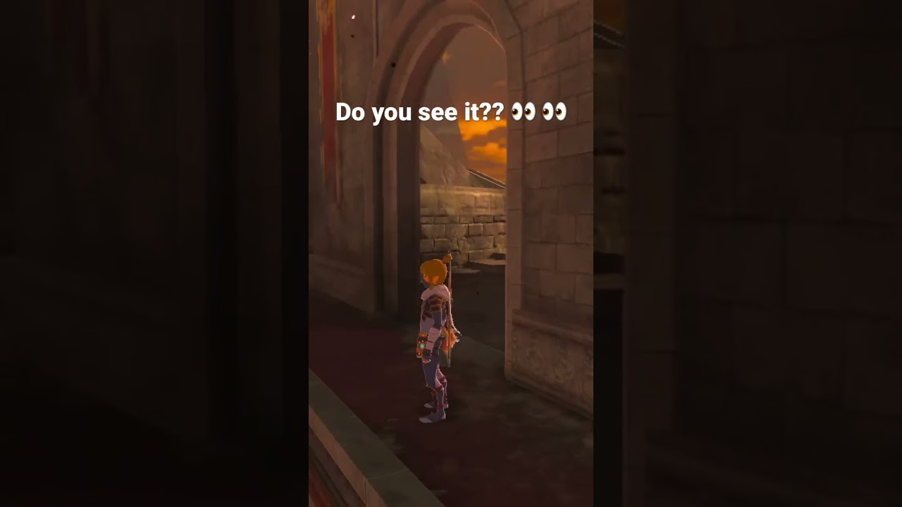 BOTW GLITCH?!?!? 