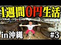牧場の仕事が想像を絶するキツさで倒れそう...#3【1週間0円生活#3】