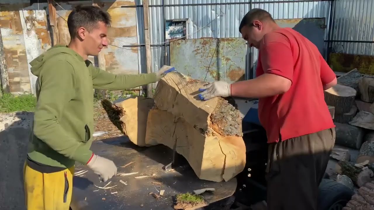 This Machine Destroys Giant Oak Logs