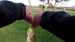 Imperial Valley Fishing