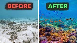 The 10 Biggest Environmental Wins Of 2024