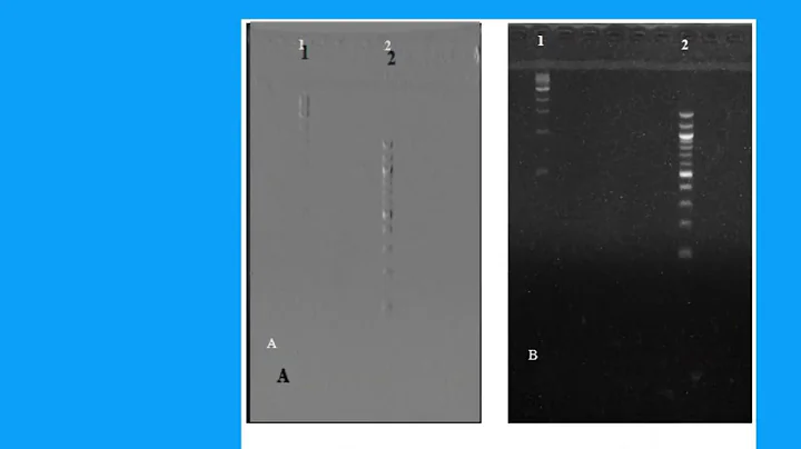 8782B67851342954F5D5ABC63DDF6D#1