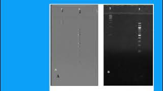 8782B67851342954F5D5ABC63DDF6D#1