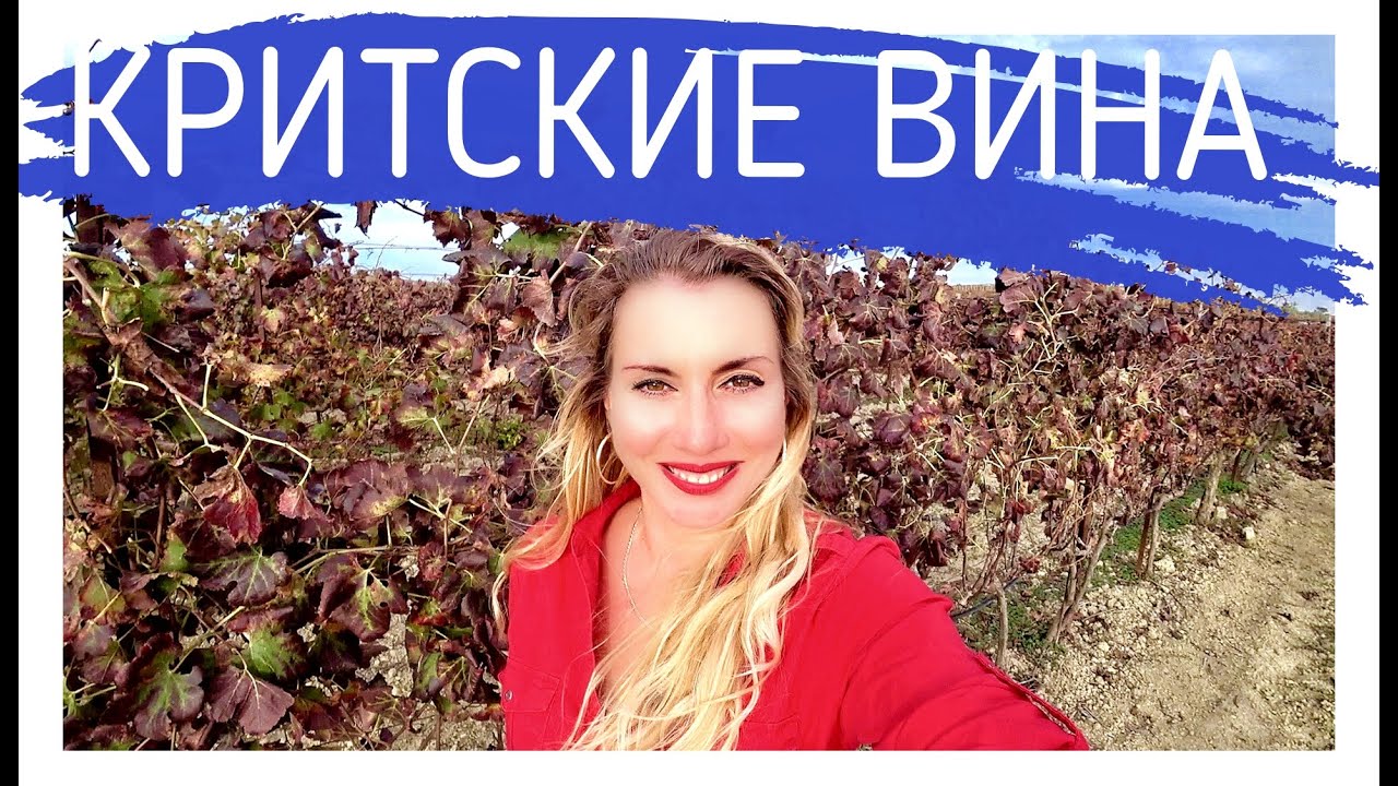 Критские вина от А до Я! Алёна Фортунаки🇬🇷Крит-Гид