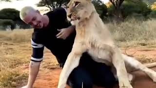 Download Lagu @Dean Schneider and Nayla | Highlights #1 MP3