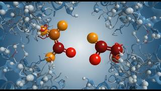 Proteomics and AI Unlocks Our Proteins