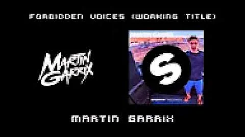 Martin Garrix   Forbidden Voices