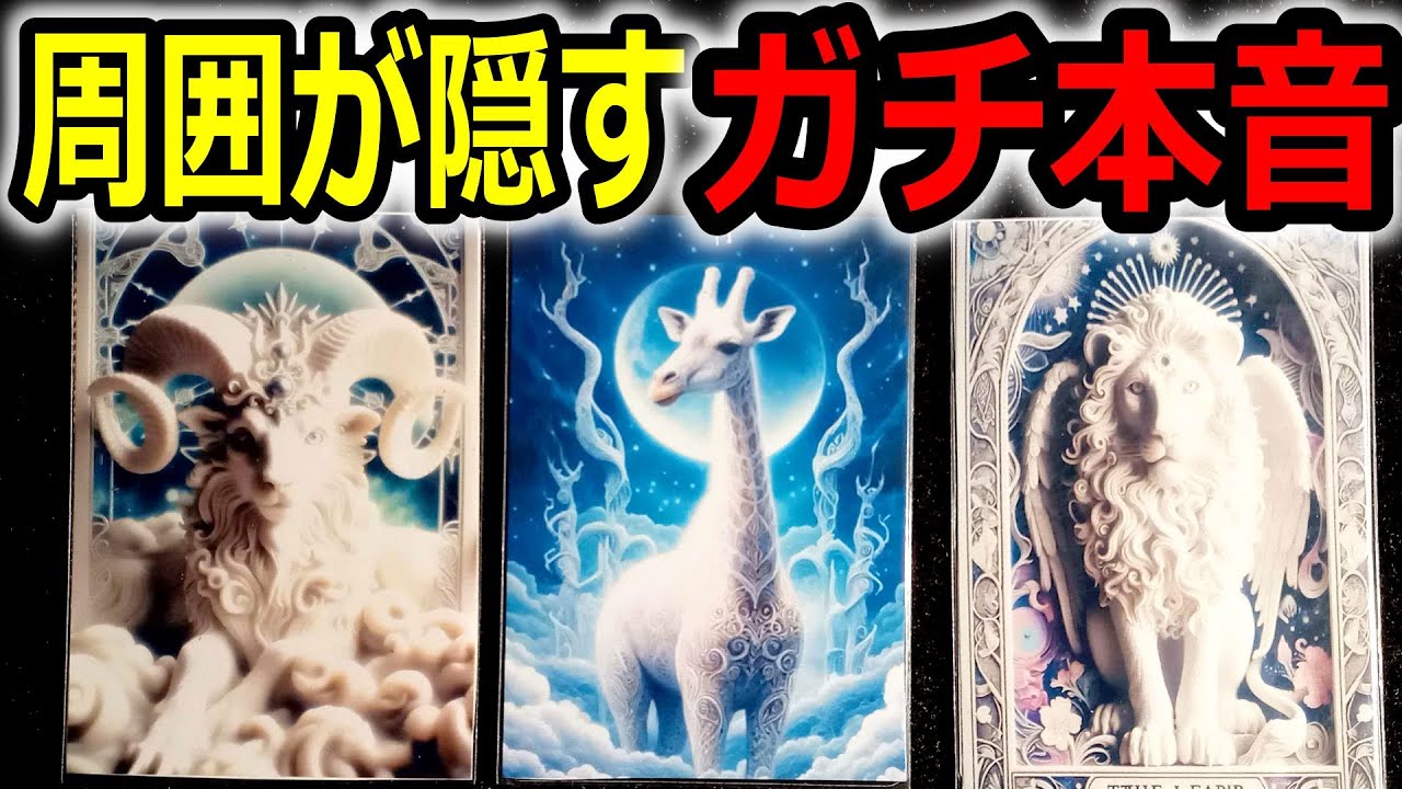 周囲の人が隠している🌈あなたに言えない本音🌟タロット占い🔮