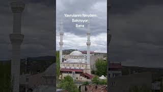 16 Mayıs 2026