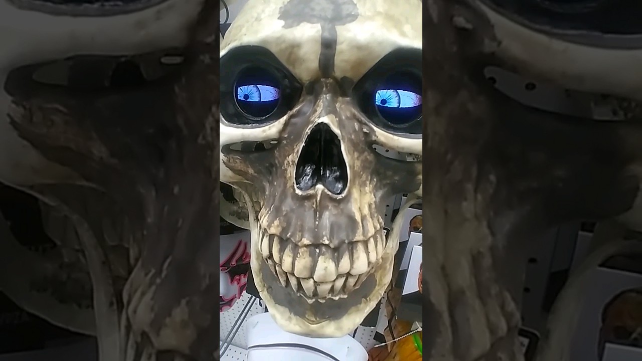 Crazy Eyes Skull Mask  Party City 