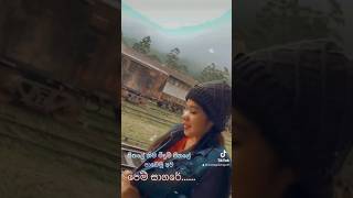 පෙම්සාගරේ viral lovesong2023 lovestatus newsongs sinhalanewsongs2023 shortvideo shorts fyp