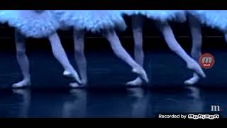 Swan Lake, Tchaikovsky - Dance of the Little Swans