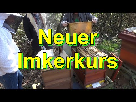 Neuer Imkerkurs