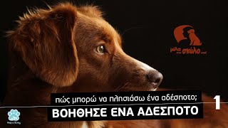 ΒΟΗΘΗΣΕ ΕΝΑ ΑΔΕΣΠΟΤΟ 1 - Πώς μπορώ να πλησιάσω έναν αδέσποτο σκύλο; |English Subtitles| by Μίλα στο Σκύλο σου by Ilias Raymondis 550 views 1 year ago 21 minutes