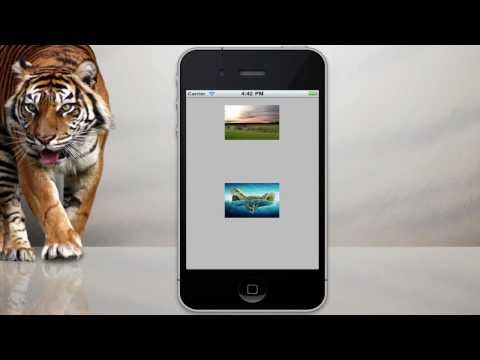 iPhone Programming -