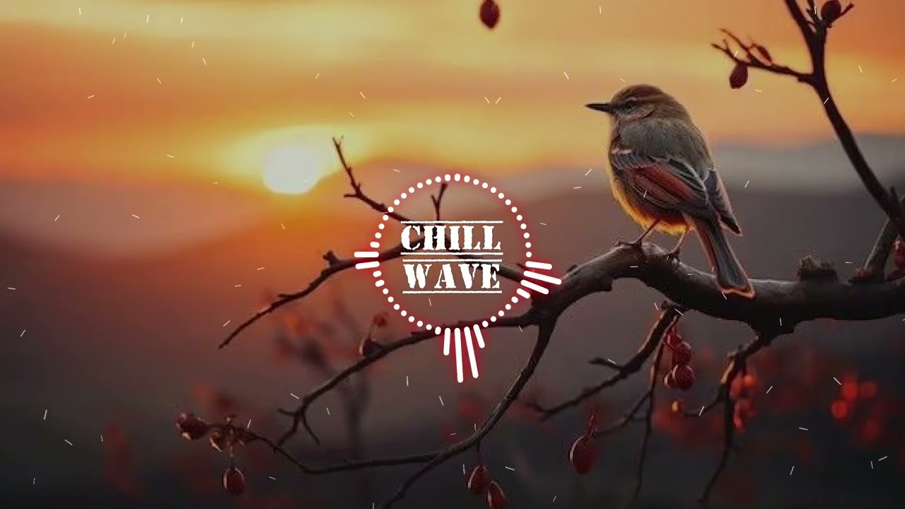 А где она любовь, скажи мне, мам! (на стихи 